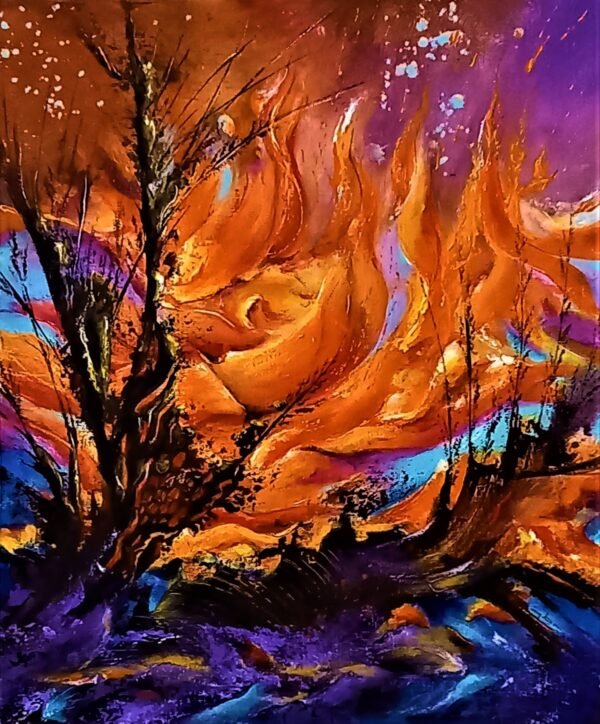 SASKILD, incendie de forêt