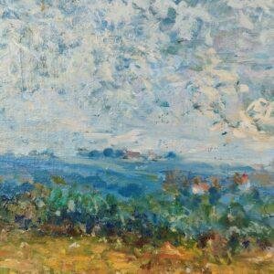 capture la beauté et la tranquillité d'un champ de fleurs en été