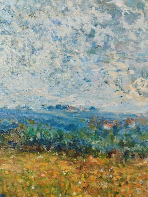 capture la beauté et la tranquillité d'un champ de fleurs en été