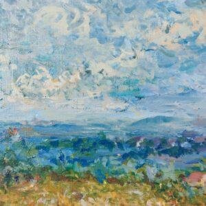 capture la beauté et la tranquillité d'un champ de fleurs en été