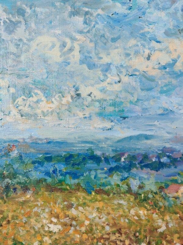 capture la beauté et la tranquillité d'un champ de fleurs en été