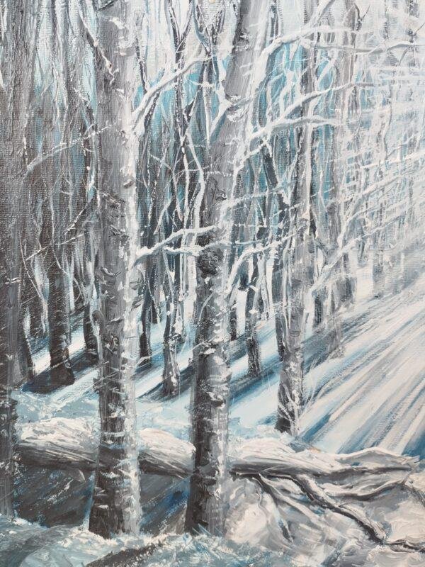 beauté sereine et mystérieuse d'une forêt enneigée illuminée par la lumière du soleil