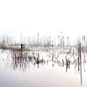 Brumes matinales d'Irlande 4