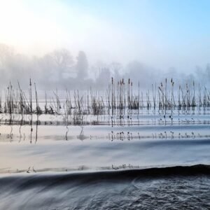 Brumes matinales d'Irlande 5