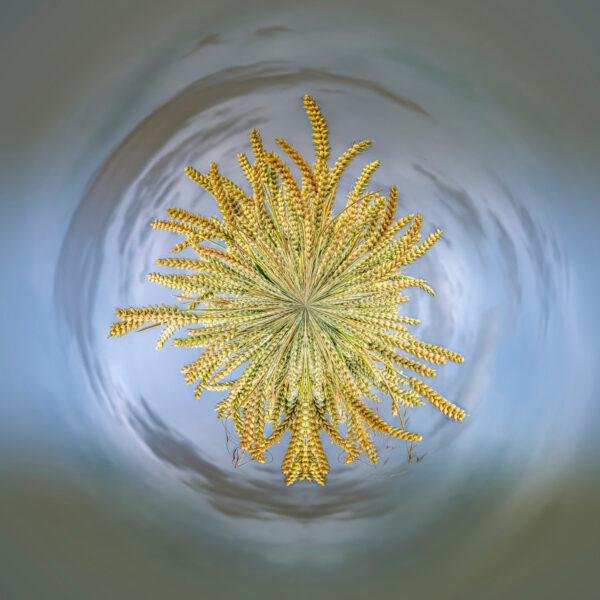 Photo mini planète de céréales avec un ciel bleu dense et contrasté