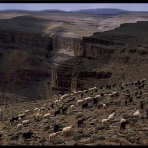 Agou­dal, gorges du Todgh­ra.