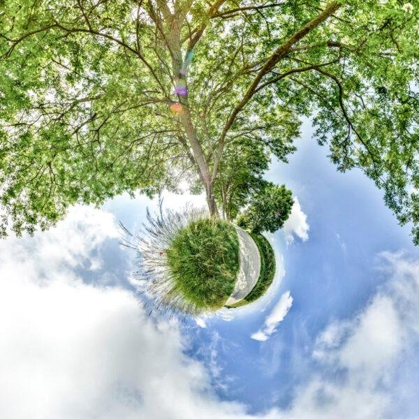 Photo mini planète d'un arbre et d'une route