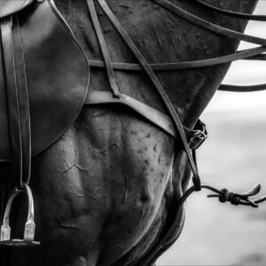 POLO , Hippodrome de Buenos Aires