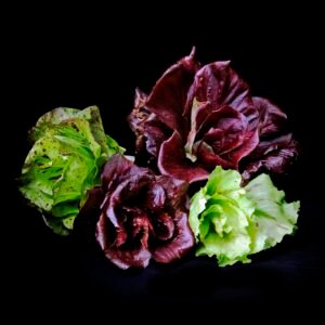 ARTFOOD Produit Brut " Salades "