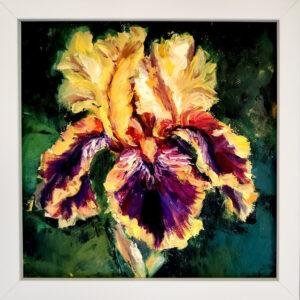 Iris de Feu
