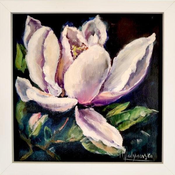 Magnolia Nocturne