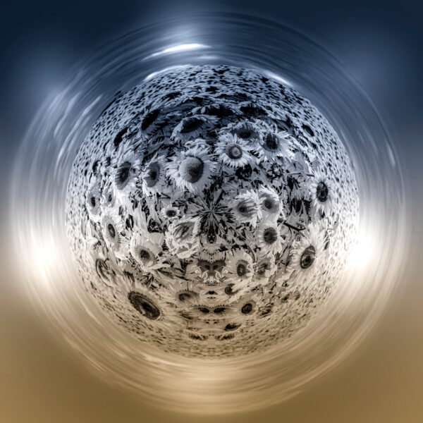 Photo mini planète d'un champ de trounesols en noir et blanc sur un fond deux couleurs : bleu et jaune brun