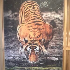 TIGER 1
