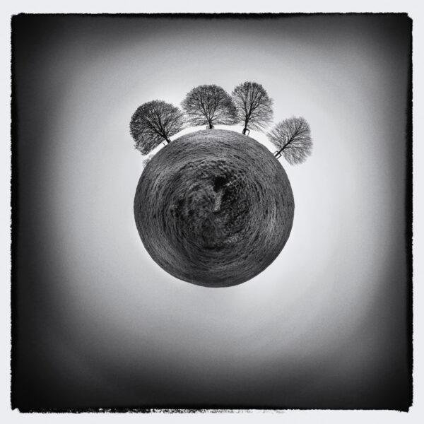 Photo d'art en noir et blanc de type mini planète de quatre arbres.