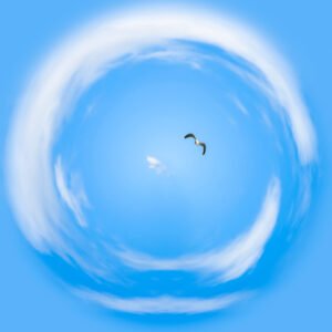 Photo mini planète d'un goéland dans le ciel bleu