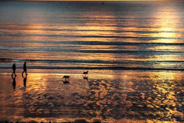 PLAGE DE SAINTE-ADRESSE