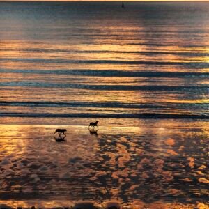 PLAGE DE SAINTE-ADRESSE
