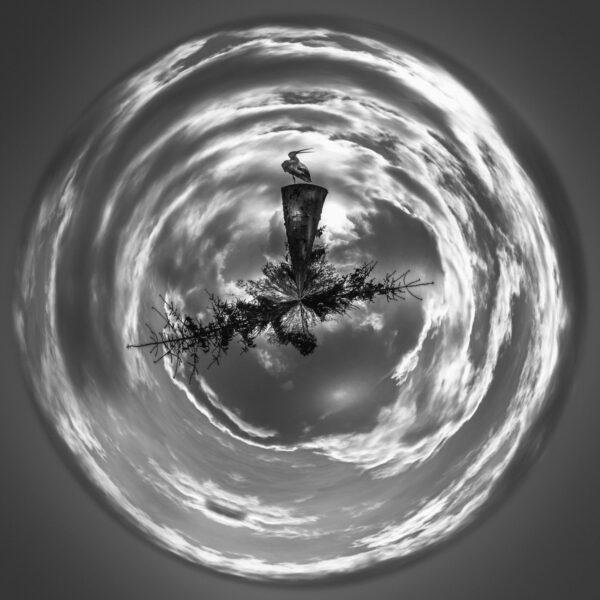 Photo noir et blanc de type mini planète qui montre une cigogne perchée sur son nid