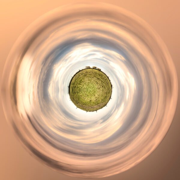 Photo mini planètes de quelques vaches au loin dans une ambiance crépusculaire