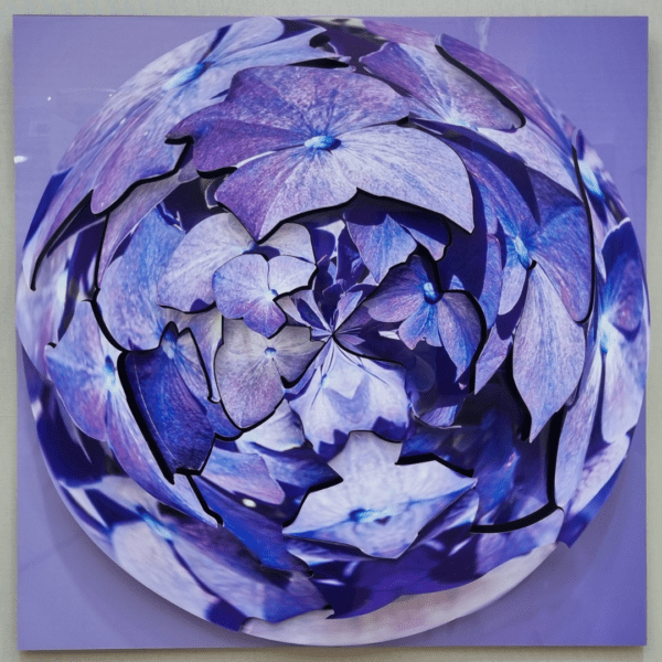 Photo d'art de type mini planète d'hortensias de couleur pourpre