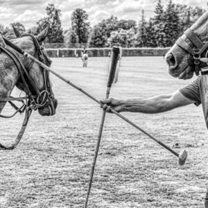 POLO DE PARIS