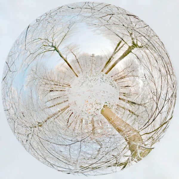 Photo mini planète d'un paysage sous la neige dans un bois