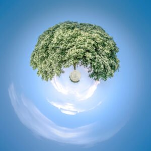 Photo mini planète d'un arbre flottant dans un ciel bleu