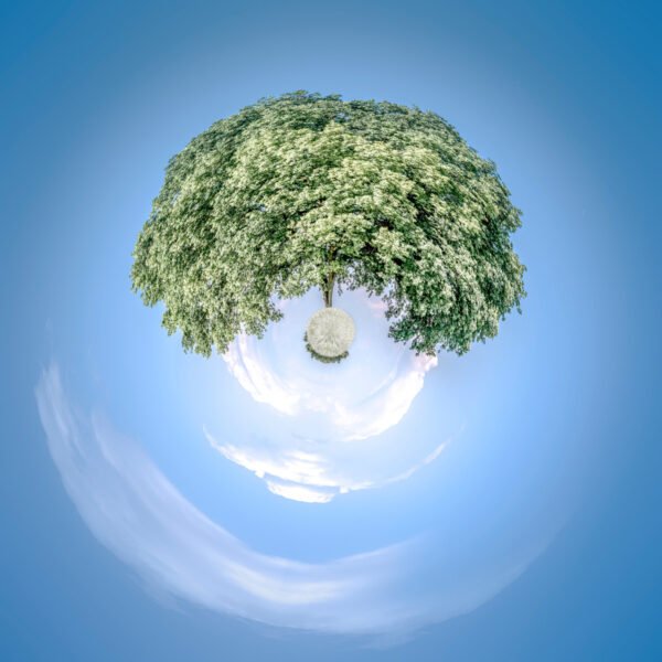 Photo mini planète d'un arbre flottant dans un ciel bleu