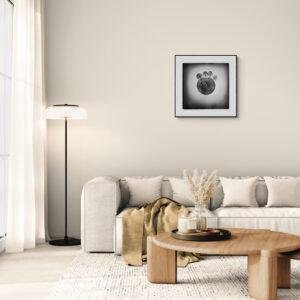 La Ronde du Silence en situation dans un salon