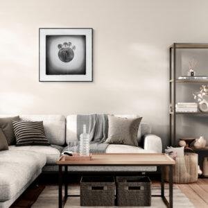 La Ronde du Silence en situation dans un intérieur