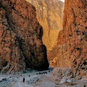 Gorges de Todghra