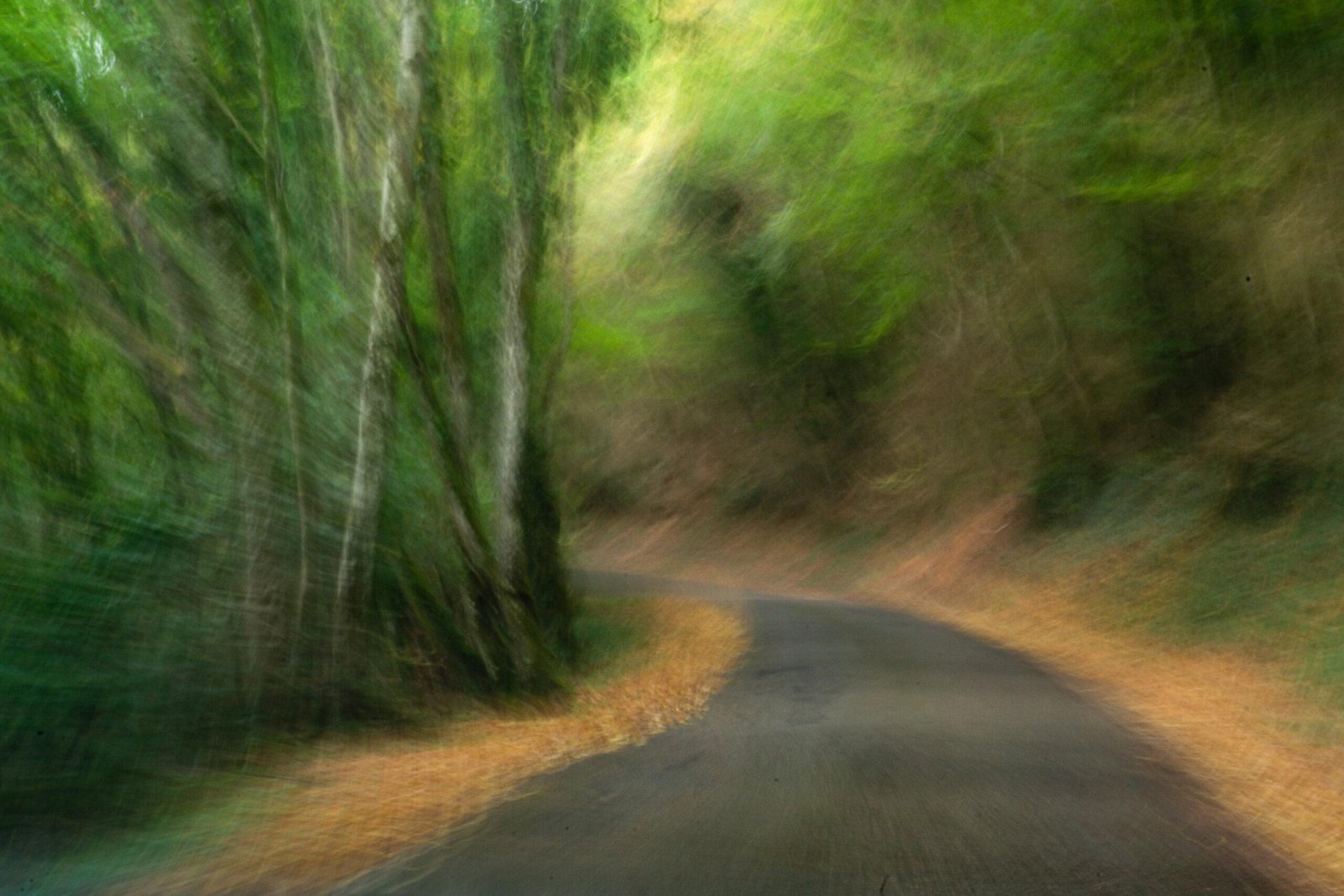 Hugues de Benoist Hugues de Benoist