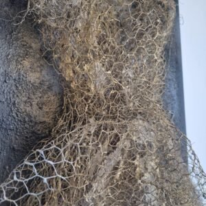 RAYONNEMENT DETAIL 1