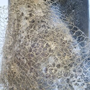 RAYONNEMENT DETAIL 2