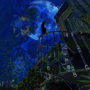 UNE HISTOIRE DE CHAT