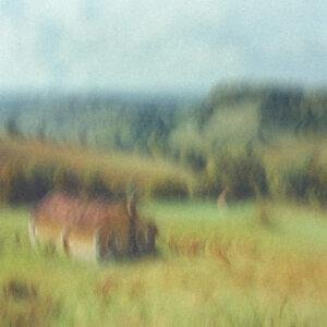 FERME AU LOIN