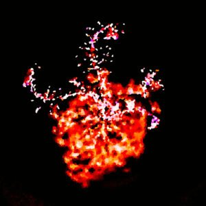 Forme florale abstraite façon mosaïque, dans des tons rouges, orange et roses lumineux, sur fond noir profond