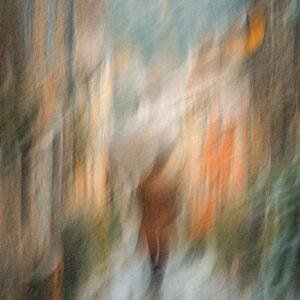 L’HOMME QUI PASSE