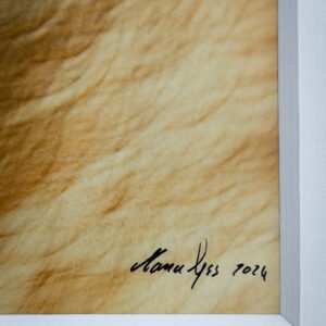 IMG_6654 IMG_6654