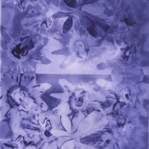 Passiflore