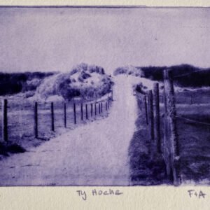 Ty hoche (zoom)