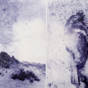Vol céleste