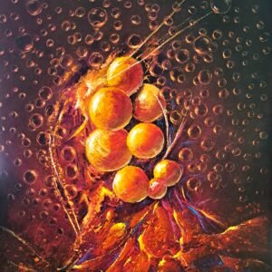 HOMO-BULLA
