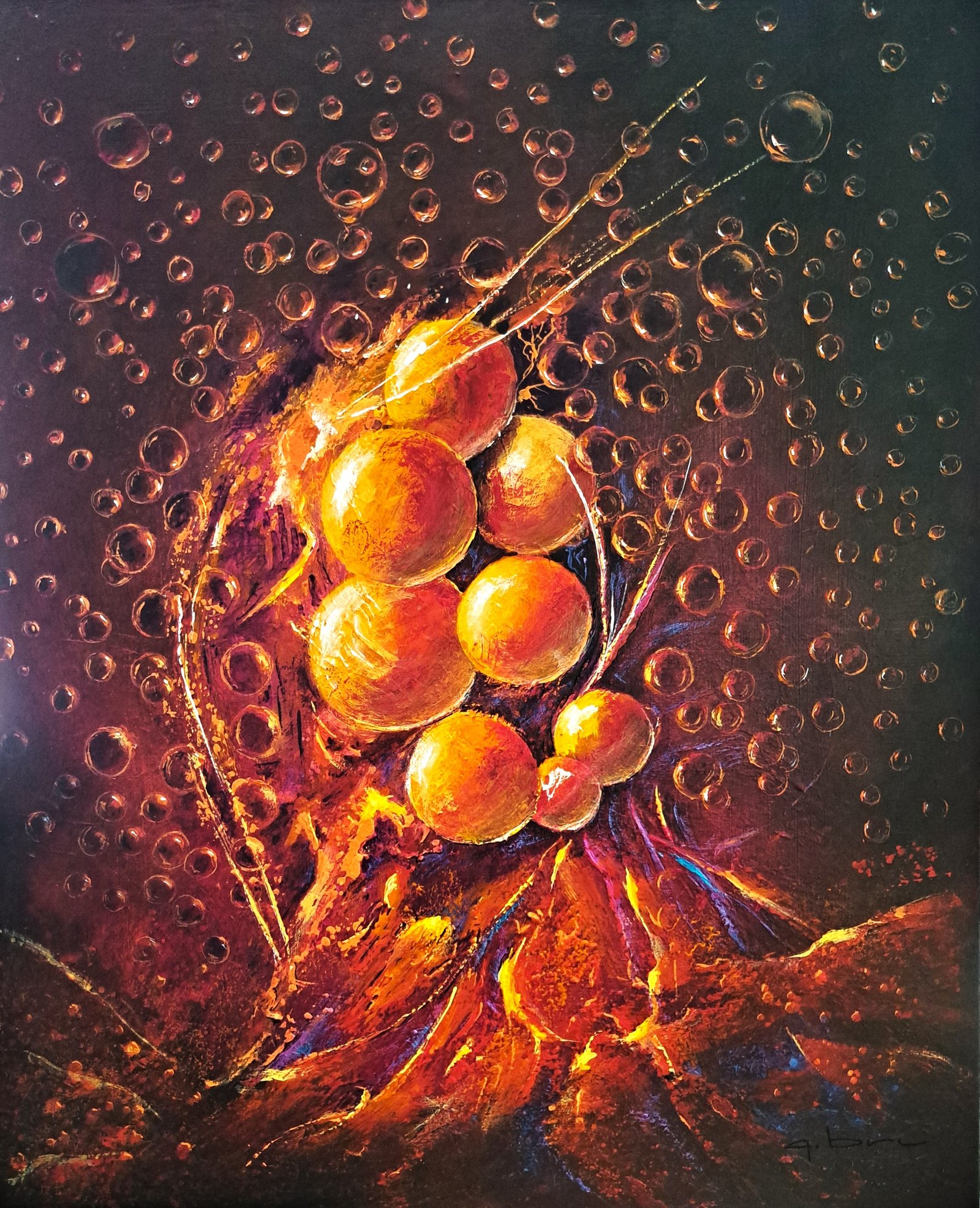 Homo bulla-1