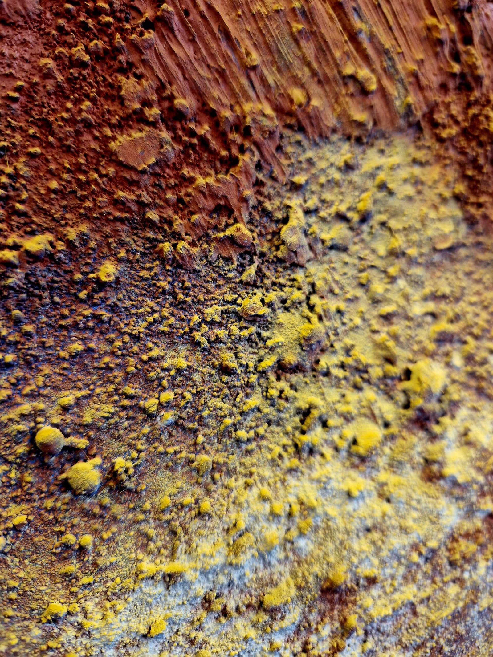 YV-2026-038_l_imbrulee_traversa_la_nuit_detail2 YV-2026-038_l_imbrulee_traversa_la_nuit_detail2