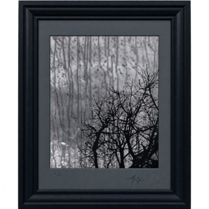 REFLET DU SOUVENIR