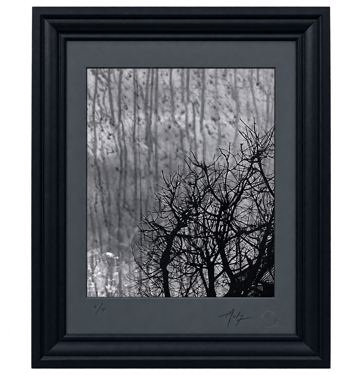 Reflet du souvenir