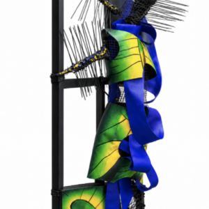 Ornithoptera Ornithoptera