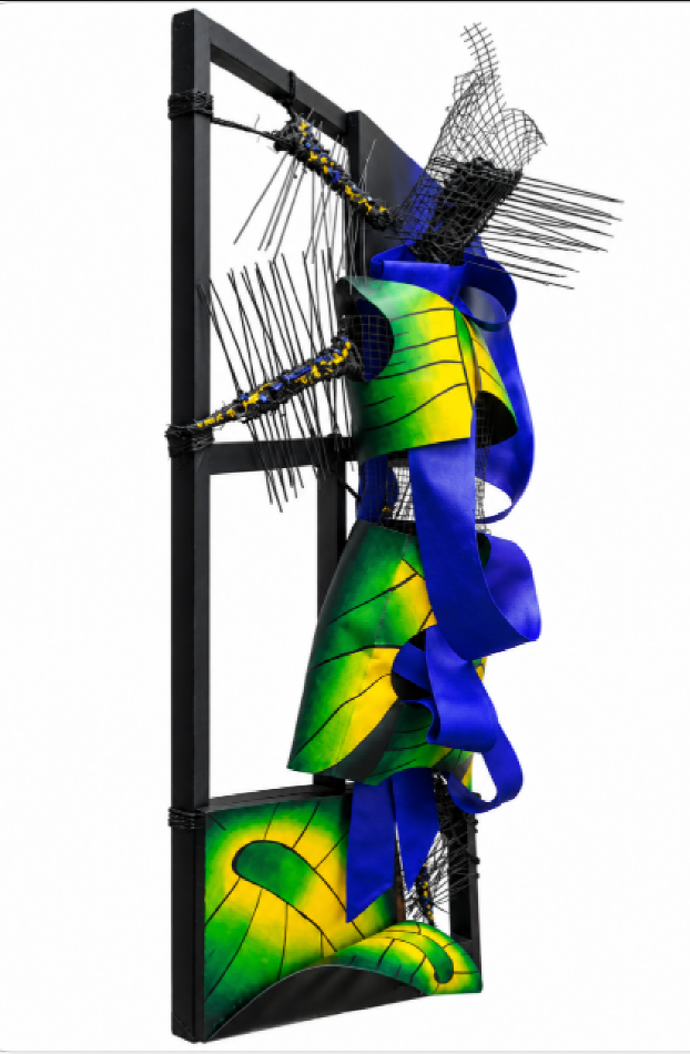 Ornithoptera Ornithoptera