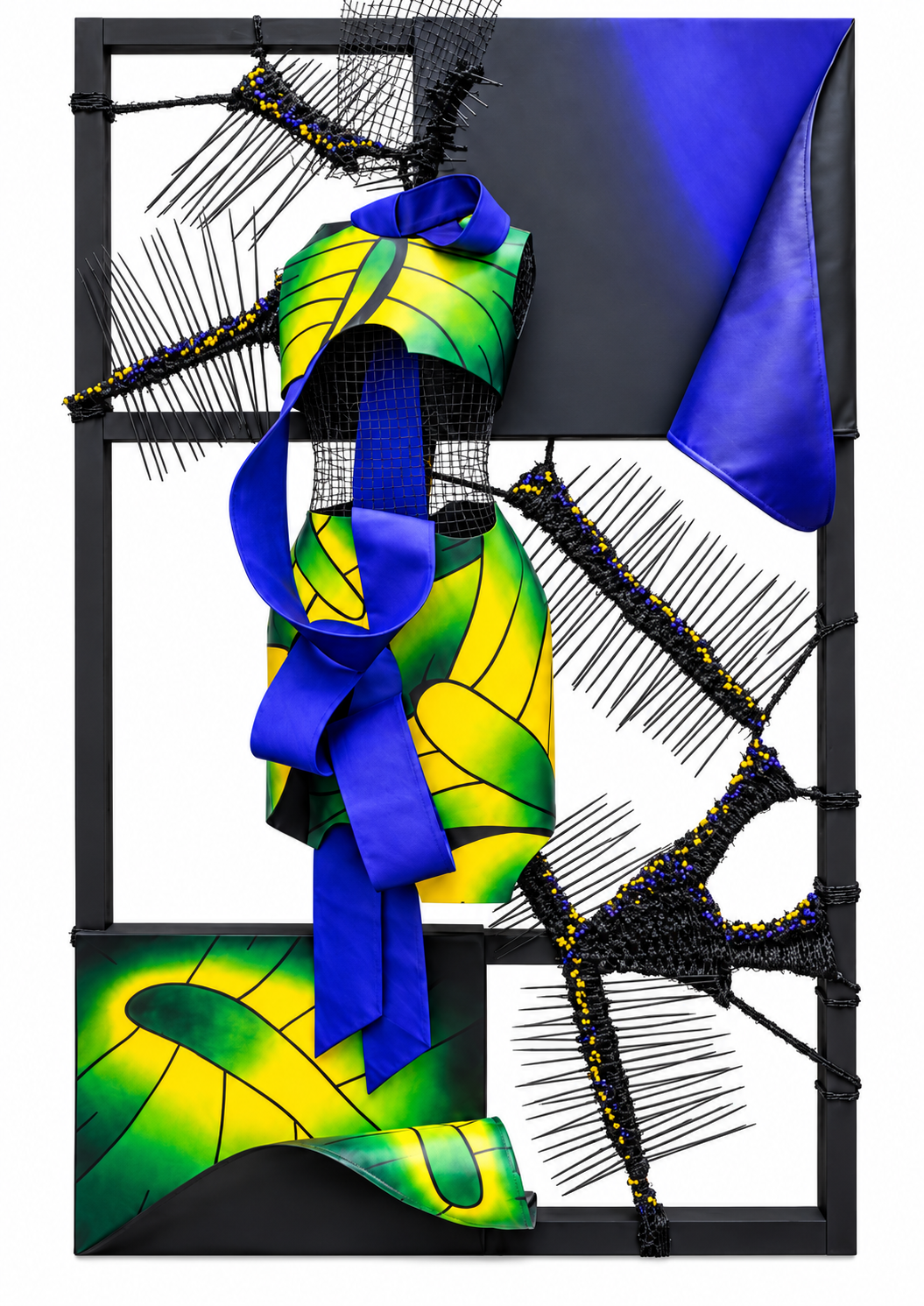 Ornithoptera Ornithoptera